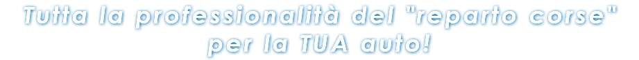 Tutta la professionalità del "reparto corse" per la TUA auto!